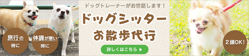 ドッグシッター・お散歩代行 認定ペットシッターがお世話します